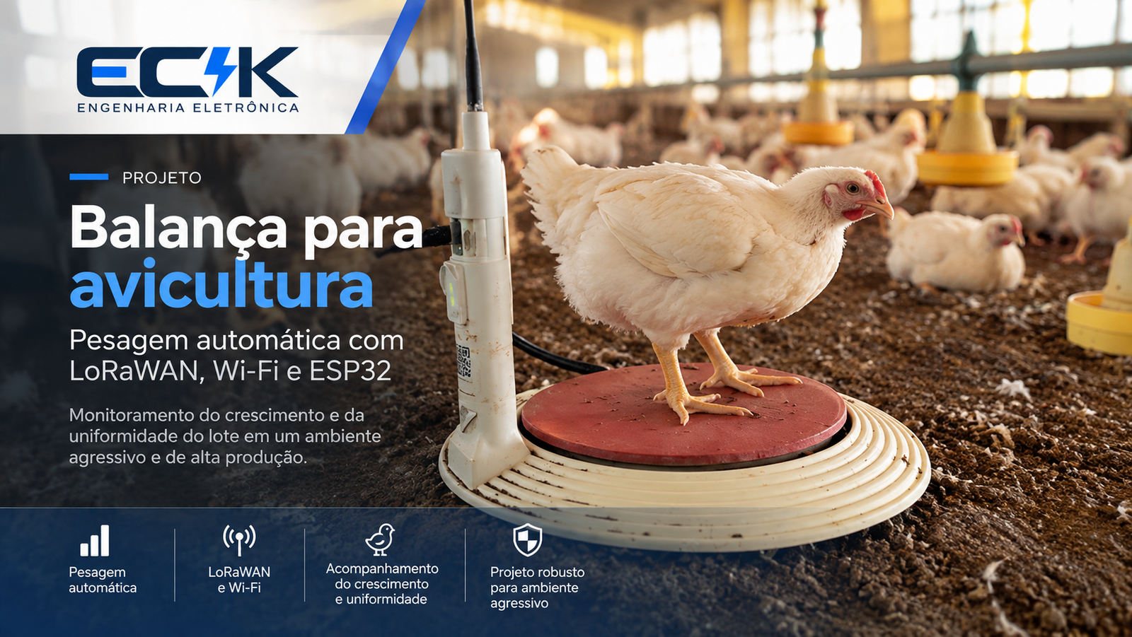 Sistema de pesagem para avicultura com LoRaWAN, Wi-Fi e ESP32
